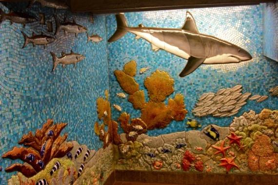 Panneau sur les parois de la piscine Panneau sur les parois de la piscine
