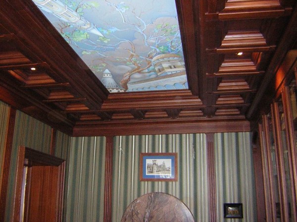 Plafond combiné avec rétro-éclairage Plafond combiné avec rétro-éclairage