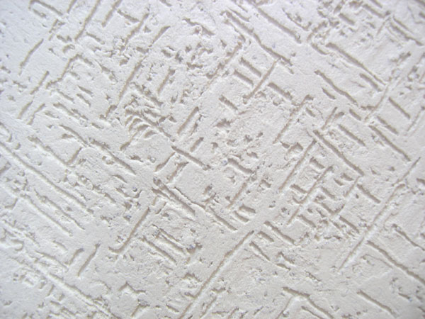 Scarabée d'écorce de texture Scarabée d'écorce de texture