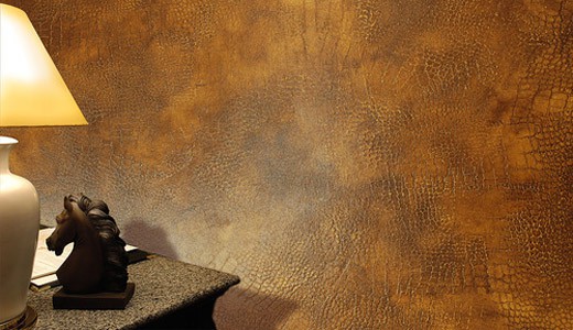 Stuc sous la peau à l'intérieur Stuc sous la peau à l'intérieur