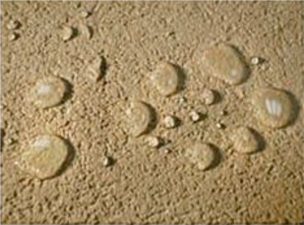 Gouttes d'eau à la surface du plâtre silicone Gouttes d'eau à la surface du plâtre silicone