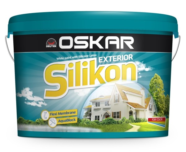 Peinture silicone pour tous types de travaux