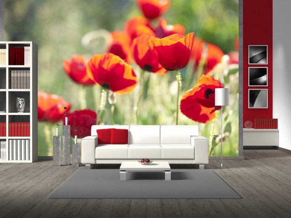 Coquelicots à l'intérieur du salon Coquelicots à l'intérieur du salon
