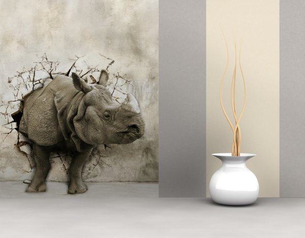 Papiers peints sur le mur, avec l'image d'un rhinocéros traversant le mur Papiers peints sur le mur, avec l'image d'un rhinocéros traversant le mur