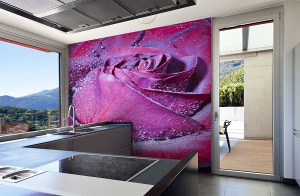 Papiers peints de couleur rose inhabituelle, à l'intérieur de la cuisine