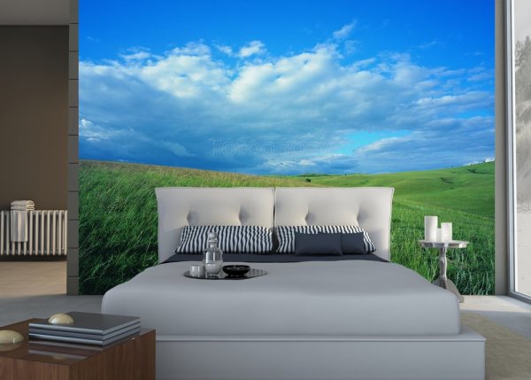 L'image du ciel bleu et du champ vert crée une séparation horizontale claire de l'intérieur de la chambre et agrandit visuellement la pièce