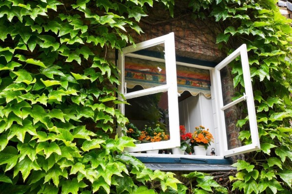 Comment éliminer l'odeur de peinture dans un appartement Comment éliminer l'odeur de peinture dans un appartement
