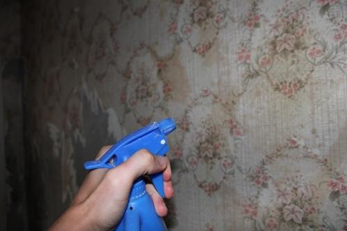 Nettoyer les murs de vieux papiers peints n'est pas une tâche facile pour ceux qui ne l'ont jamais fait. Nettoyer les murs de vieux papiers peints n'est pas une tâche facile pour ceux qui ne l'ont jamais fait.