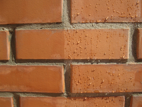 Le critère principal pour choisir une peinture pour la brique pour les travaux extérieurs, bien sûr, est la résistance à l'humidité de la peinture