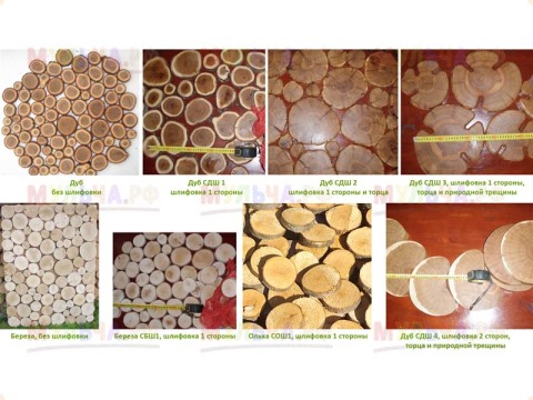 Panneau des sections de branches Sur la photo, nous voyons divers éléments de branches sciées d'arbres différents