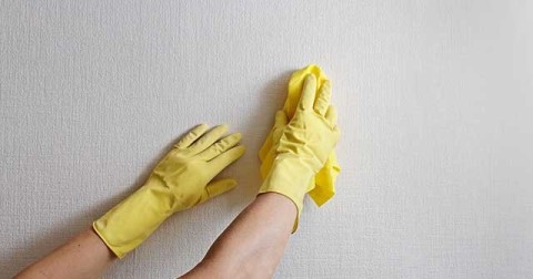 Le papier peint non tissé résiste au nettoyage humide quotidien. Le papier peint non tissé résiste au nettoyage humide quotidien.