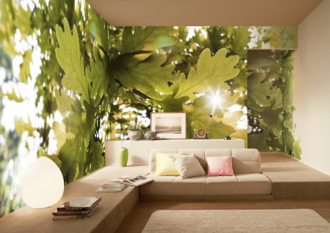 Fond d'écran à l'intérieur par le feng shui Fond d'écran à l'intérieur par le feng shui