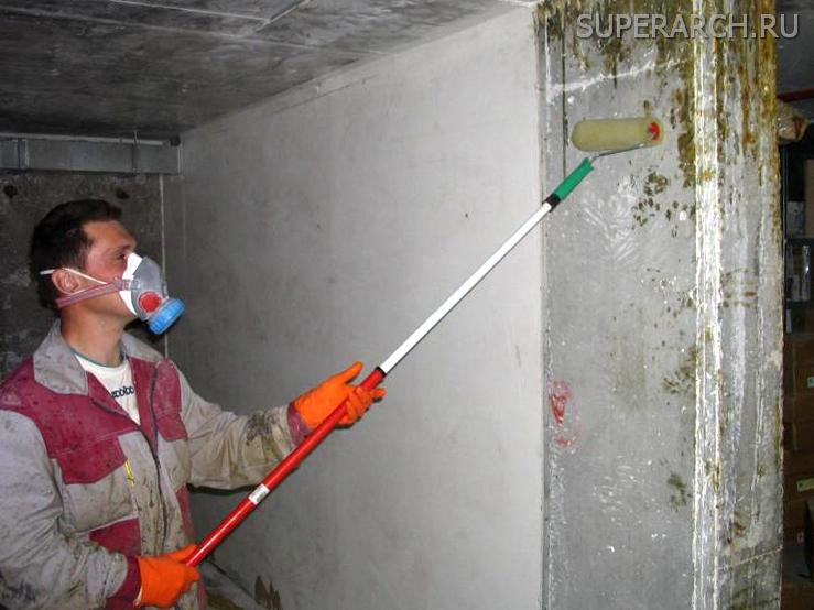 Deuxième étape: traiter le mur du champignon