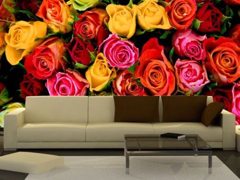 Les couleurs vives serviront d'activité dans la vie. Les couleurs vives serviront d'activité dans la vie.