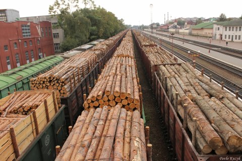 Le bois brut est exporté. Le bois brut est exporté.