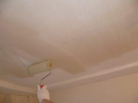 Primaire pour plafond Primaire pour plafond