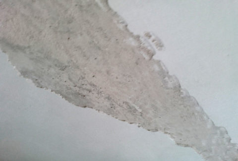 La chaux trempée s'enlève facilement avec une spatule en acier sans laisser de poussière dans l'air La chaux trempée s'enlève facilement avec une spatule en acier sans laisser de poussière dans l'air