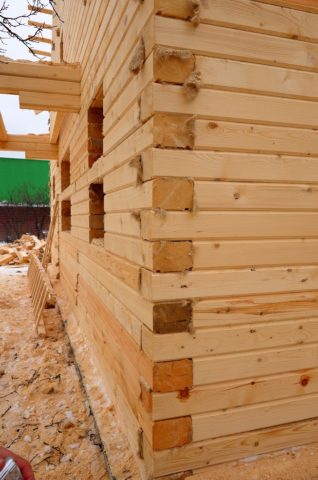 Murs en bois en bois Murs en bois en bois