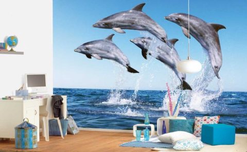 Papiers peints avec des habitants marins Papiers peints avec des habitants marins