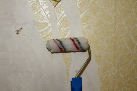 Papier peint en papier humide - et ils s'éloignent facilement du mur Papier peint en papier humide - et ils s'éloignent facilement du mur