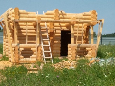 Cabane en rondins Cabane en rondins
