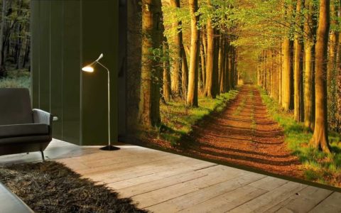 Le chemin forestier étendu sur le papier peint augmente visuellement l'espace de la pièce Le chemin forestier étendu sur le papier peint augmente visuellement l'espace de la pièce